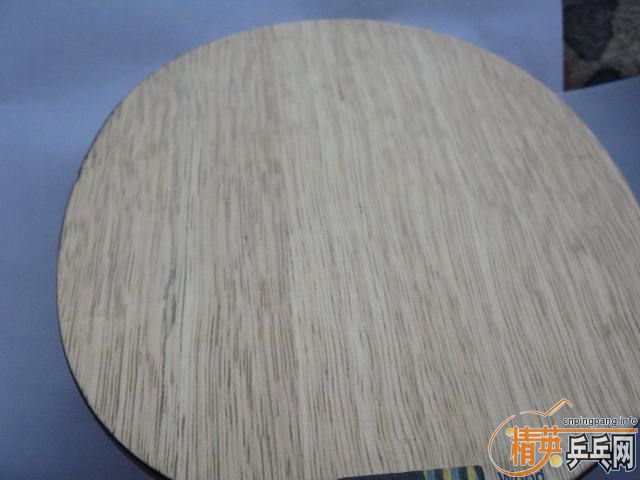 ��EG ST 300 ���� JOOLA ��˹��׼ST  260����