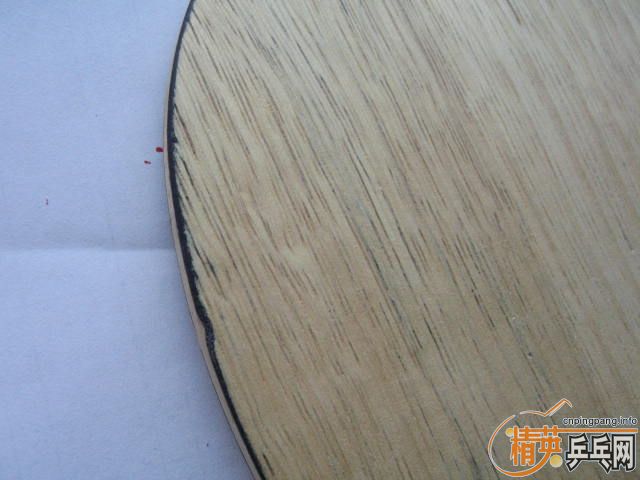 ��EG ST 300 ���� JOOLA ��˹��׼ST  260����