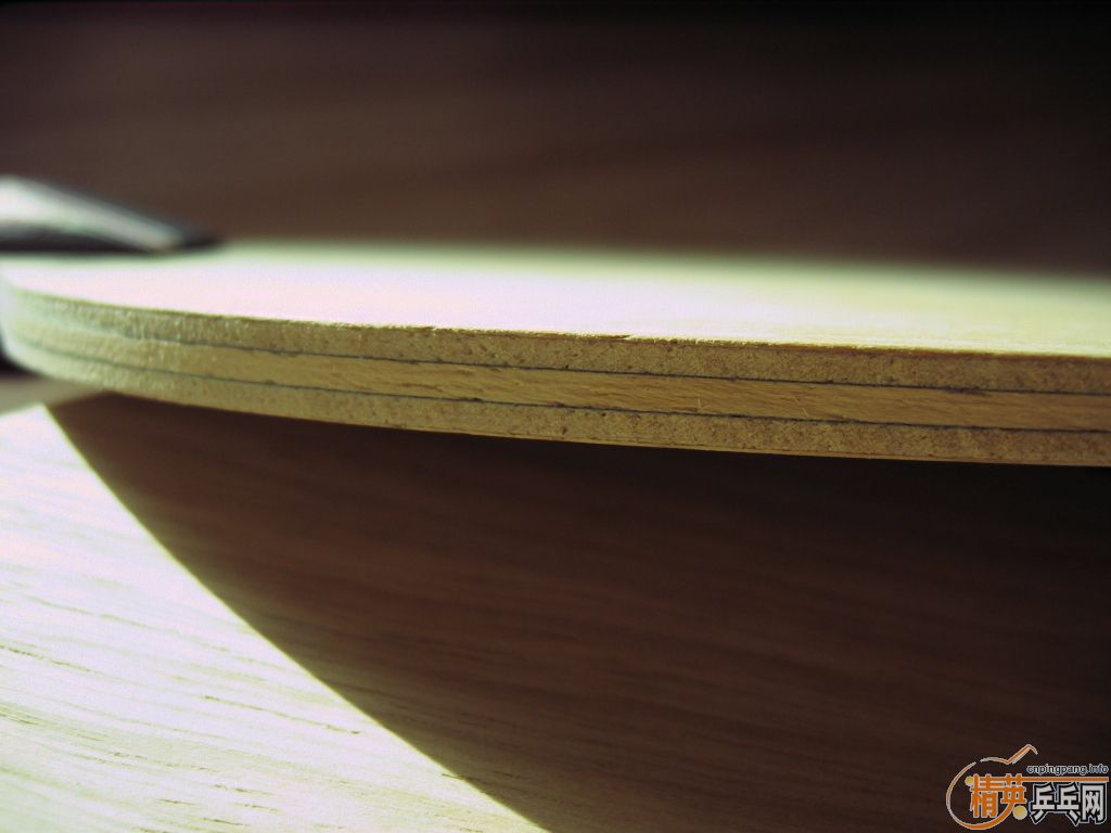 ��ŷ����˹̼����se7en��FL���򻻺��