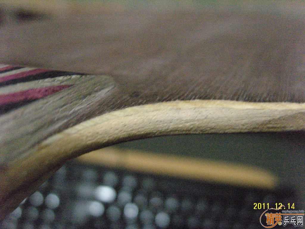 29Sx55Bf.jpg