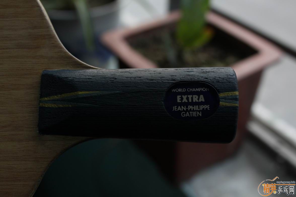 [�Ƽ�]����YE