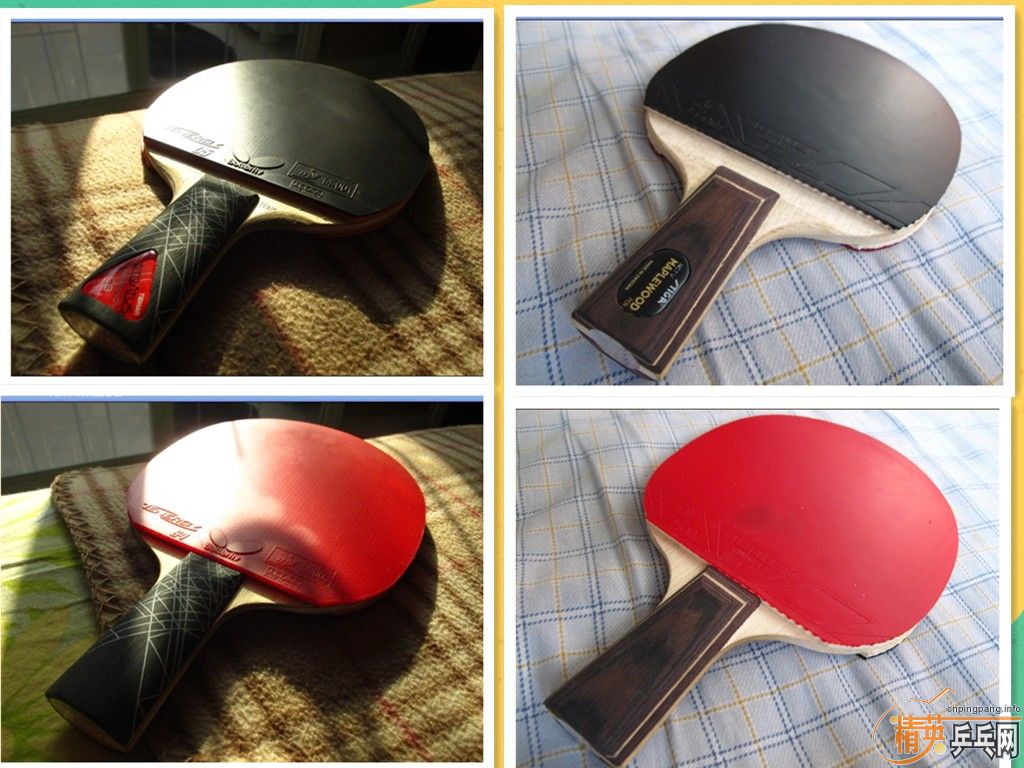 ������YEO�������ˣ����ų���