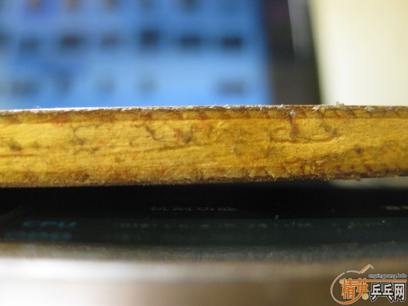 ����ŷ��ˮ��yeo��