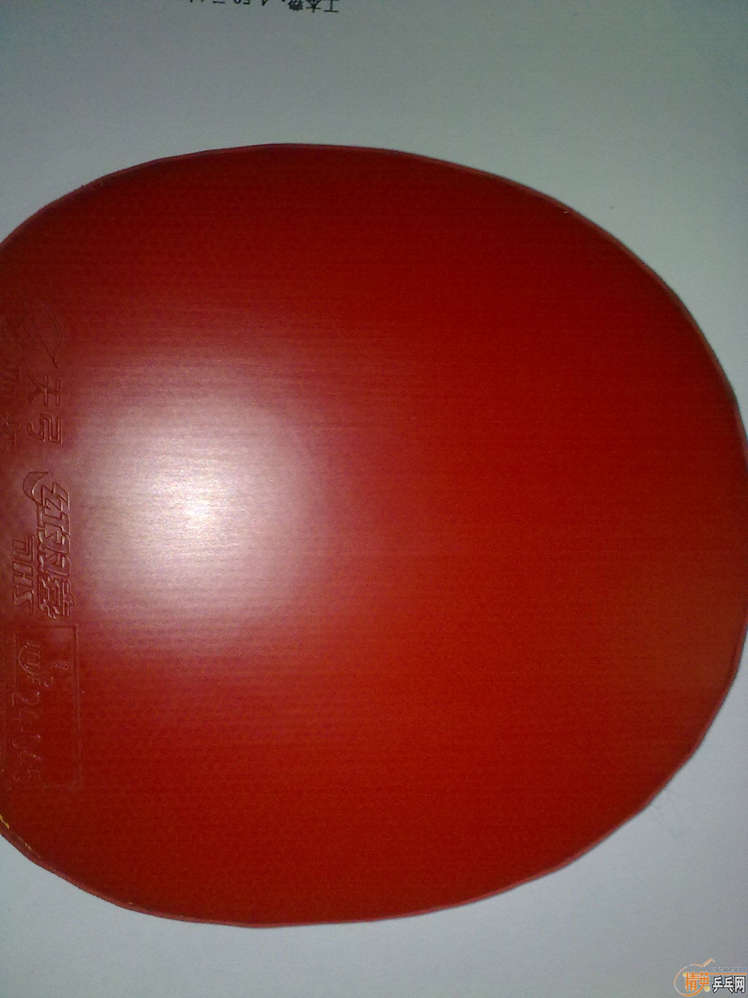 ==�����Ʒ��95���칭37�Ȼ���==