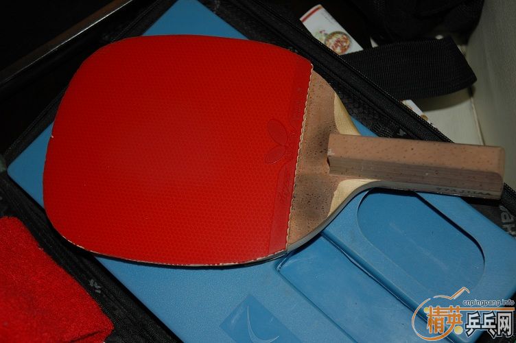 ����cypress max+85��bryce 1000����