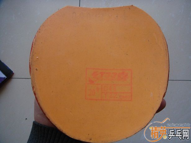 �������������ȿ����ˡ������յڰ��¡�BUTTERFLY�������������+ʡ��+SRIVER-->qupiterת��