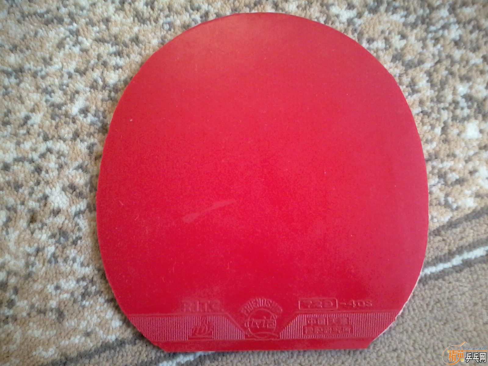 ���˳�ֱ��eg�������ǰ��ӣ��Լ��׽����ɡ�