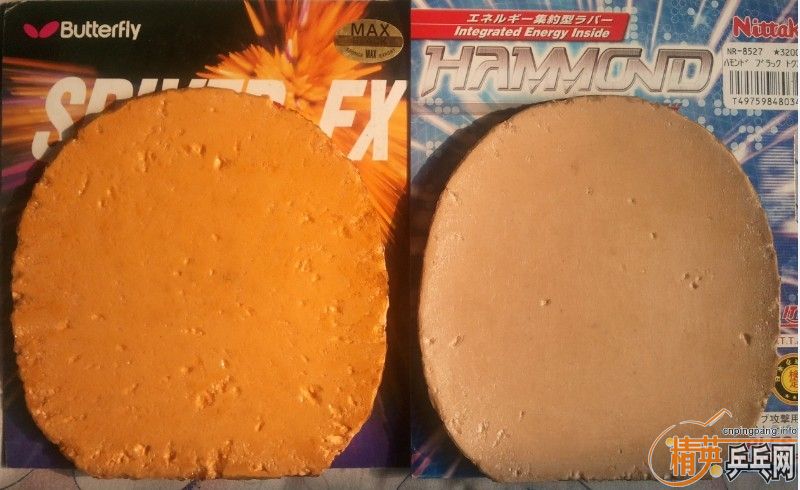 115Ԫ���ʳ�����˹����FX���죩+���������ᣨ�ڣ�