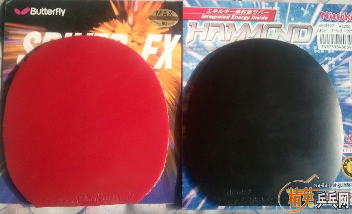 115Ԫ���ʳ�����˹����FX���죩+���������ᣨ�ڣ�