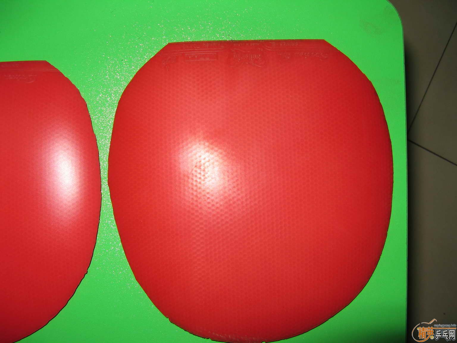 ���ѳ�����˹��FX����ɫ��9���£�90���졣����һ֧��������������100������˹��EL