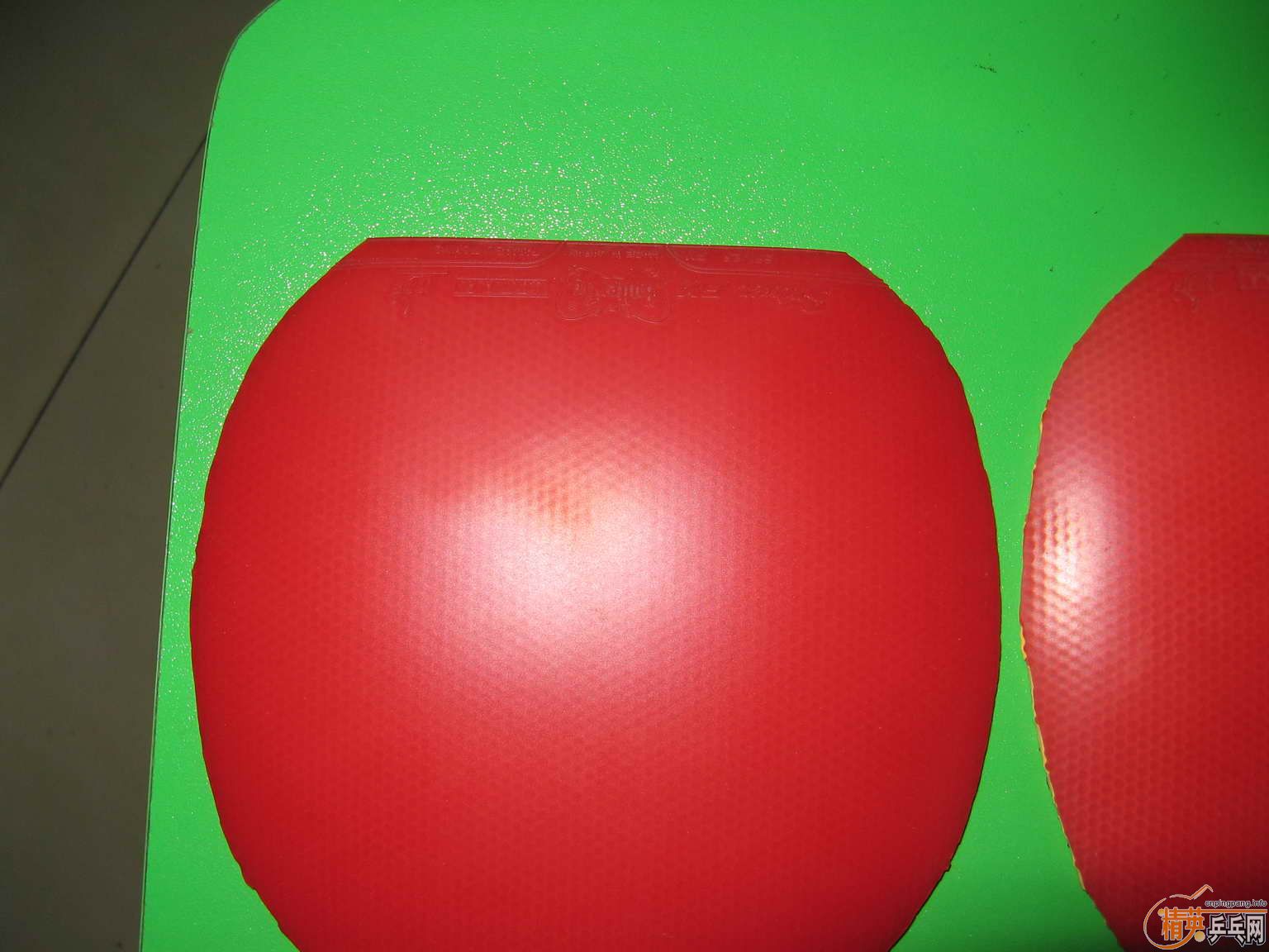 ���ѳ�����˹��FX����ɫ��9���£�90���졣����һ֧��������������100������˹��EL