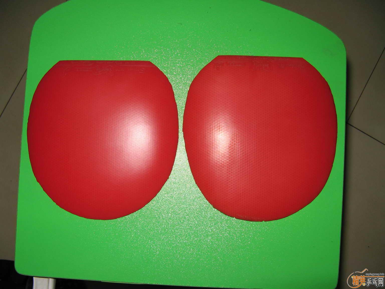 ���ѳ�����˹��FX����ɫ��9���£�90���졣����һ֧��������������100������˹��EL