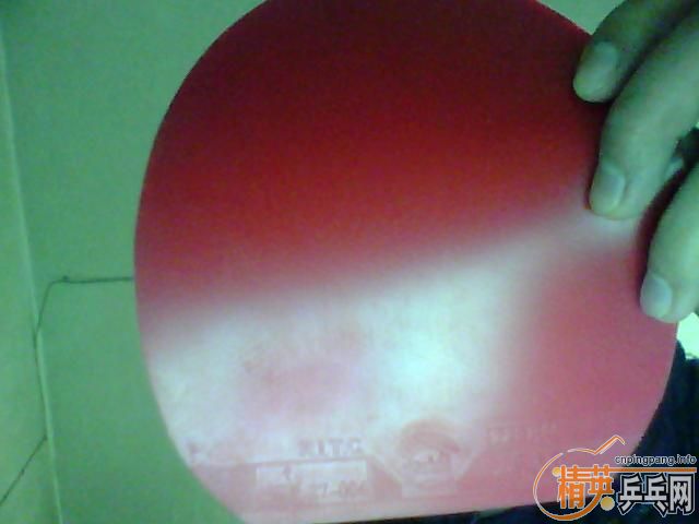 9.9��ʡ��40�Ⱥ�ɫ�׽�