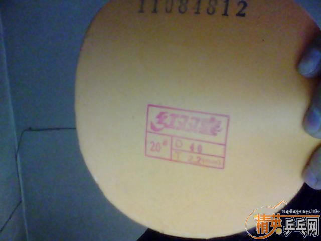 9.9��ʡ��40�Ⱥ�ɫ�׽�