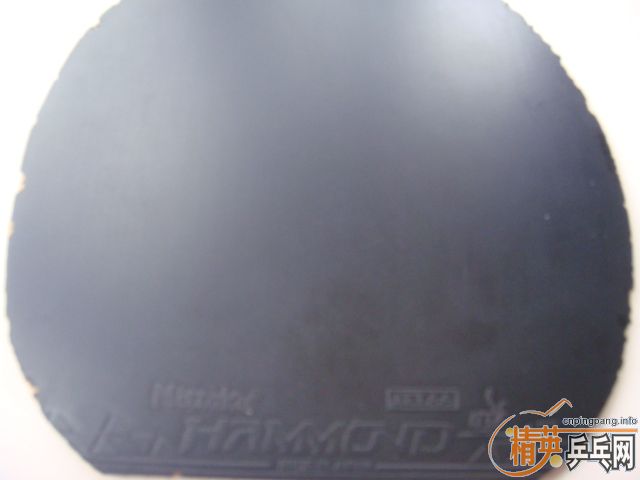 +++��Ƭ����һ���׽�