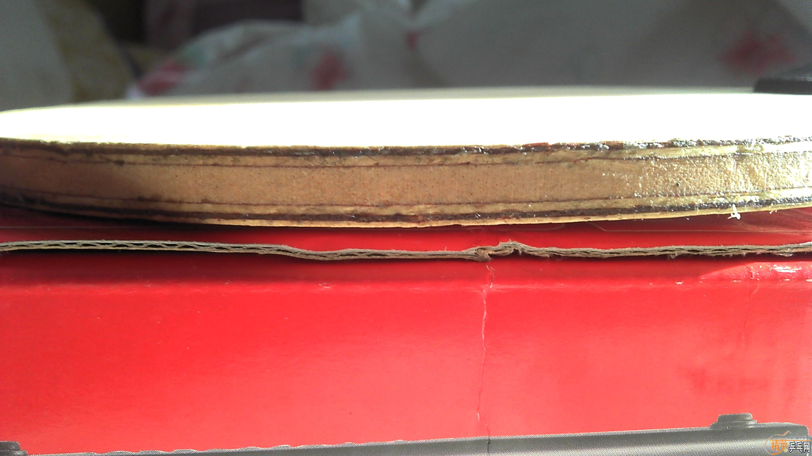 ���� �����ͦ��ֱ�� �ڽ���캣��GRIPS �͹ֽ��� 563~~~~~~~~~~~~