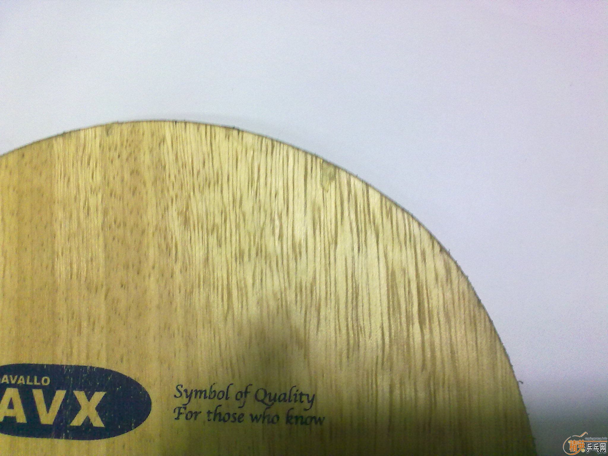 ===�����Ʒ��������AVALLO AVX  BT7�������߼а�==