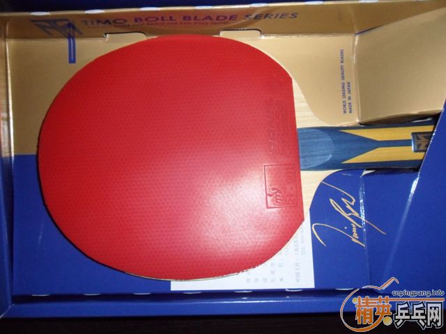 �����9.* �µ�ʡ��39��+DONIC ����