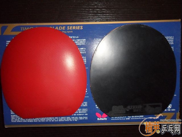 �����9.* �µ�ʡ��39��+DONIC ����