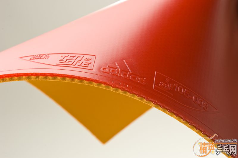 [Ʒ]ϴ˹TENZONE SF׽¡Ƴ