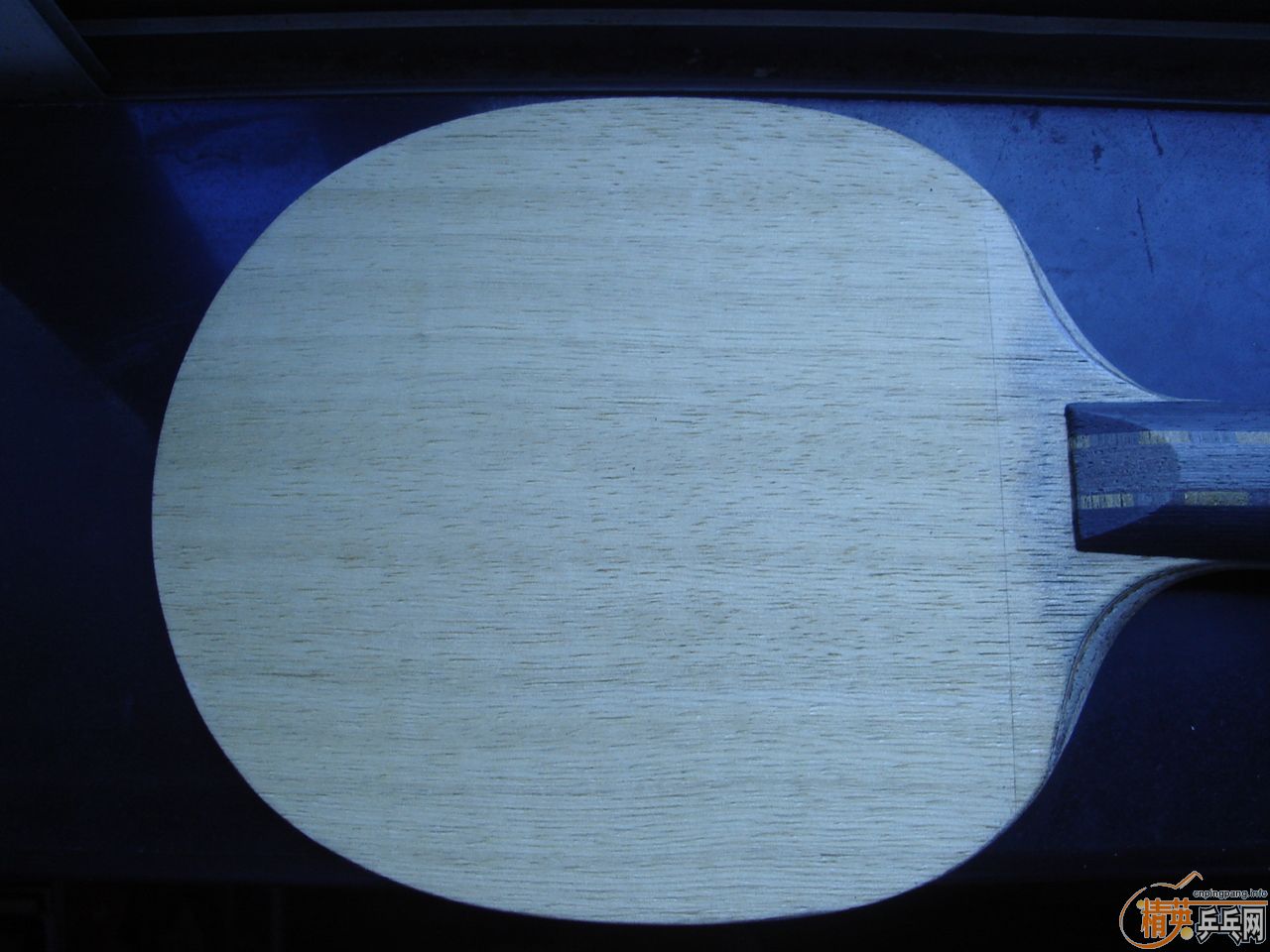 [ԭ��]300�����հ�YE17�㣬����Ҳ����һ����