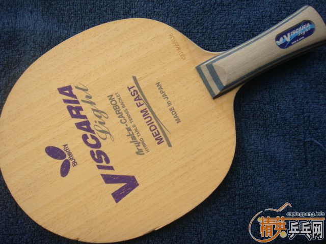 ++���ͺ�����FLһֻ