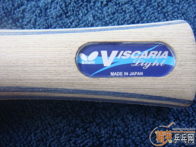 ++���ͺ�����FLһֻ