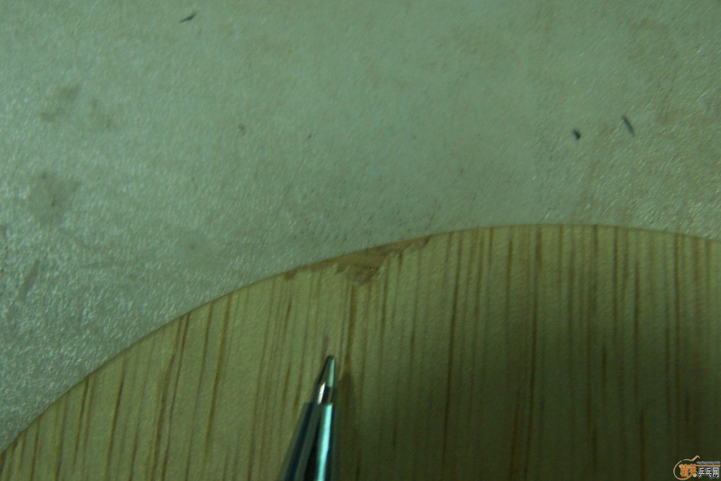 [ԭ��]��FL���Ͽƣ�8����