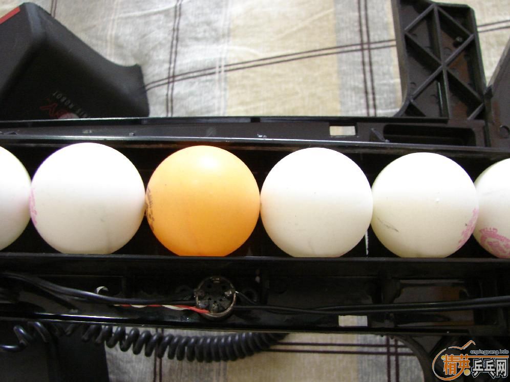 ��������--38MMС�򣡣���