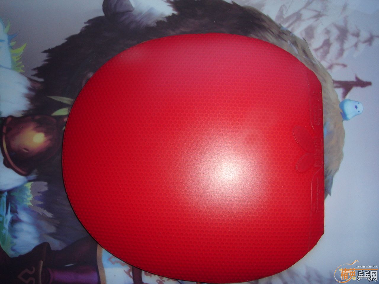 FX,ͣٶȣͦһ׷06ʡ