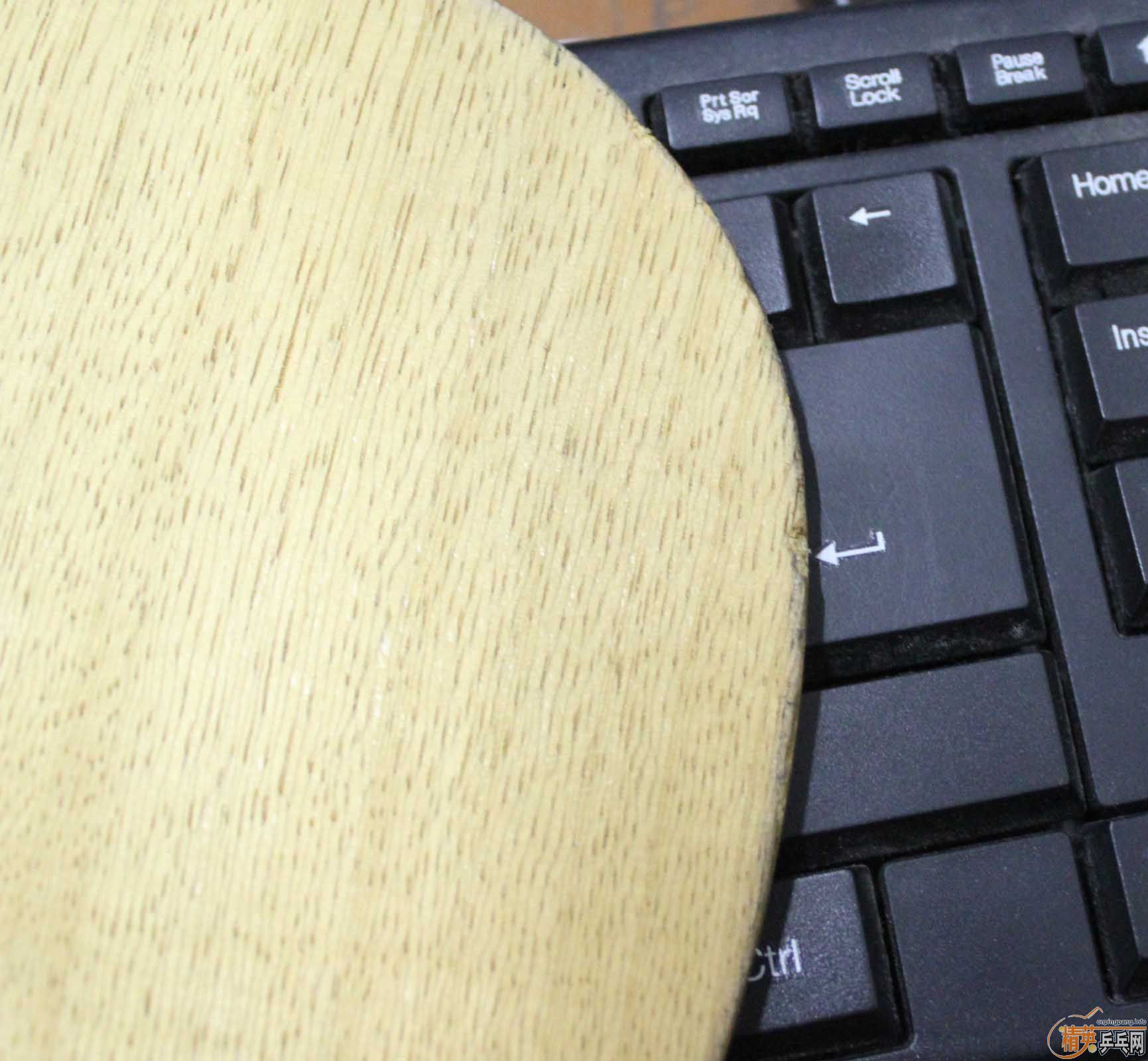 ���Ѿ��仡Ȧ�������������