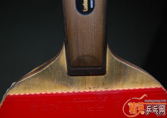 �����ִ���