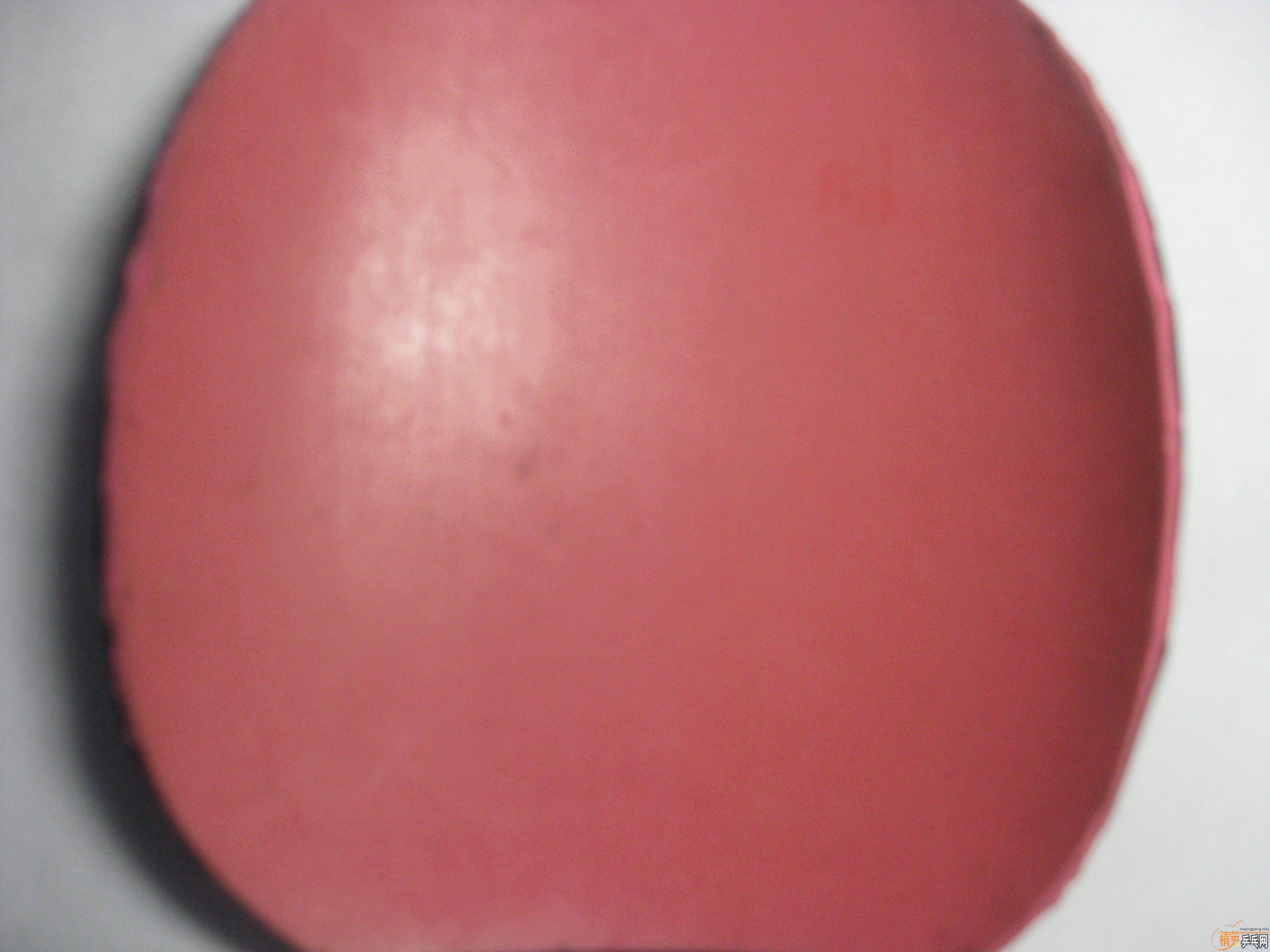 ���ú�ɫ��ͣ��ѳ�������ɫ������