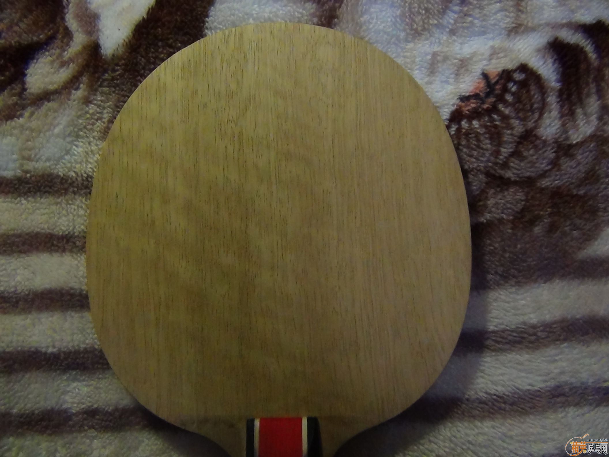 [ԭ��]���ѳ�OC-WRB����E3