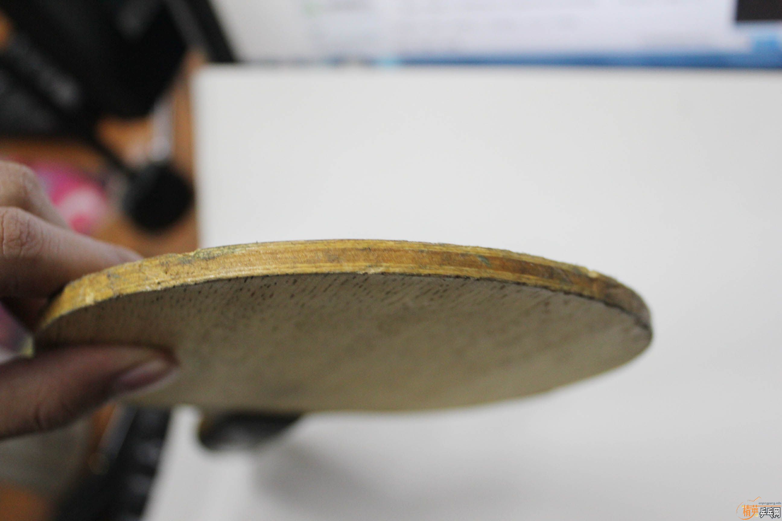 ���Ѿ��仡Ȧ�������������