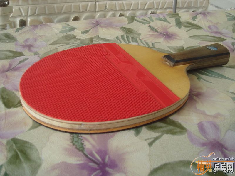 ����T-6����Ҫ�𣿱��˴�������������������