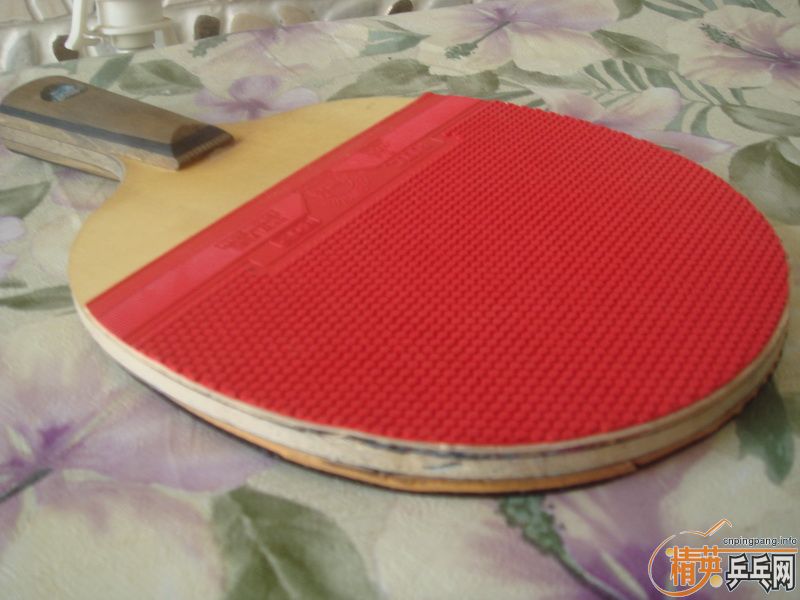 ����T-6����Ҫ�𣿱��˴�������������������