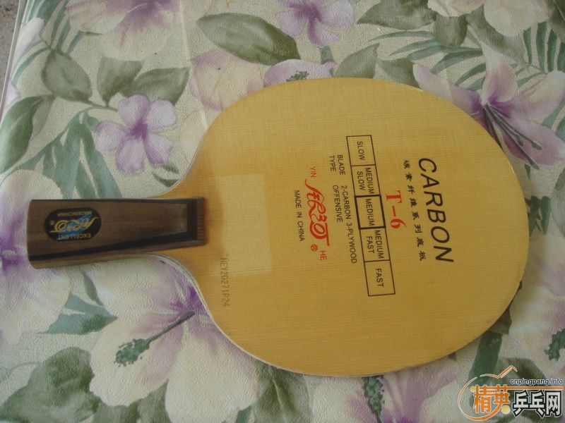 ����T-6����Ҫ�𣿱��˴�������������������