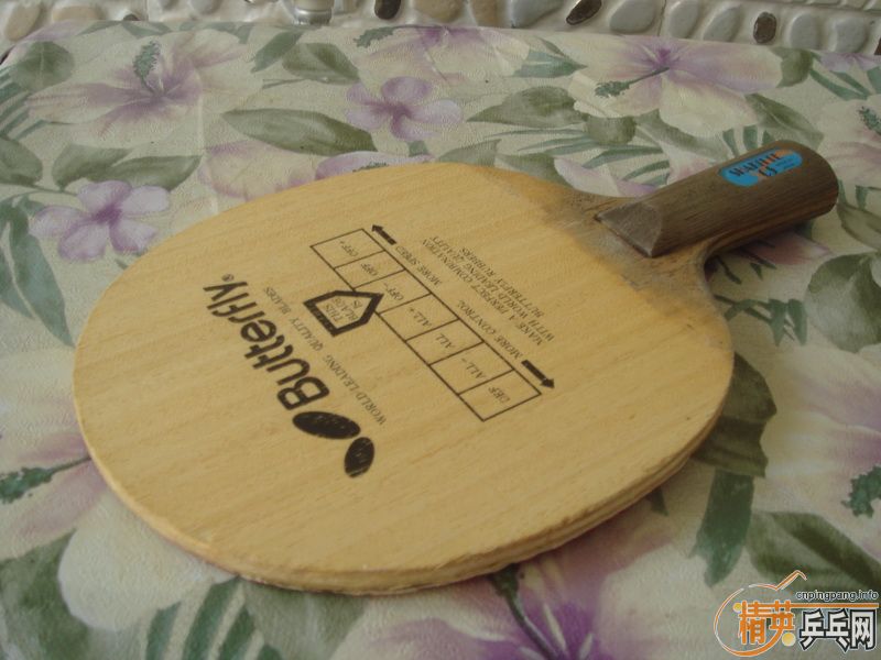 ����T-6����Ҫ�𣿱��˴�������������������