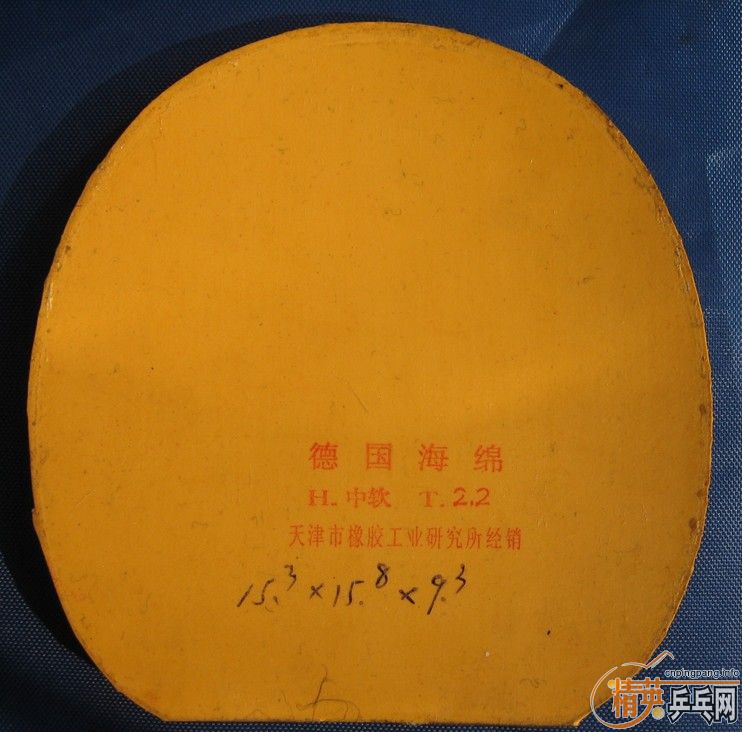 �Żݳ������׽�