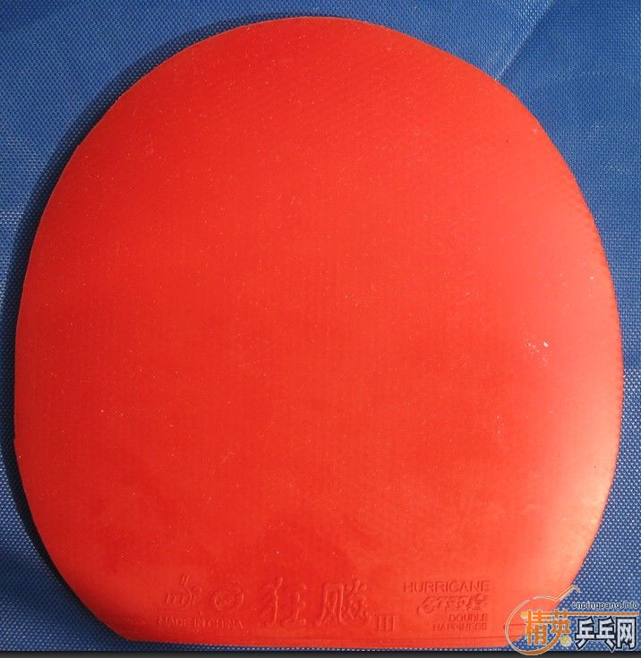 �Żݳ������׽�