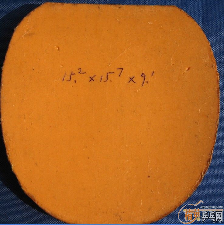 �Żݳ������׽�