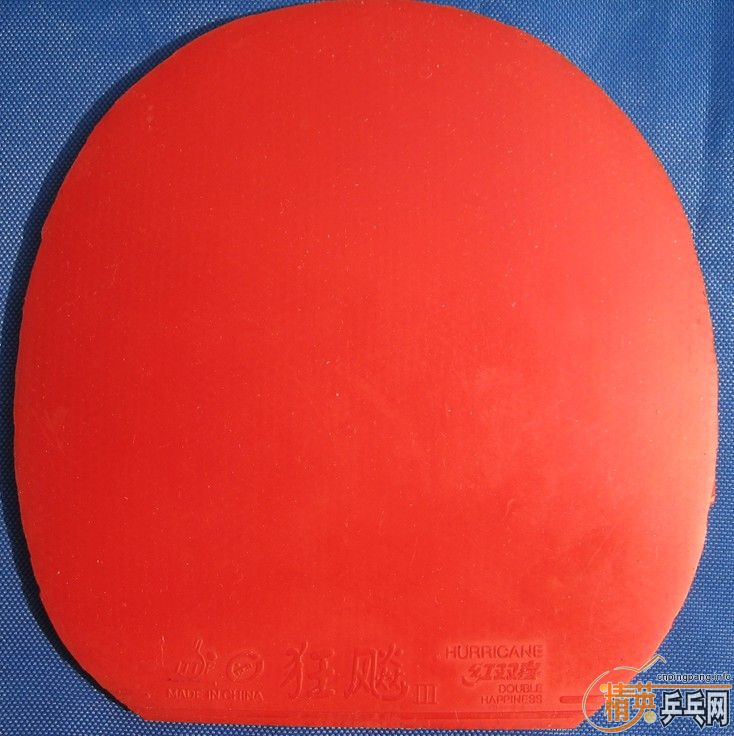 �Żݳ������׽�