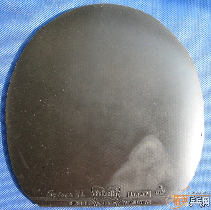 �Żݳ������׽�