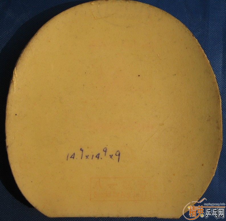 �Żݳ������׽�