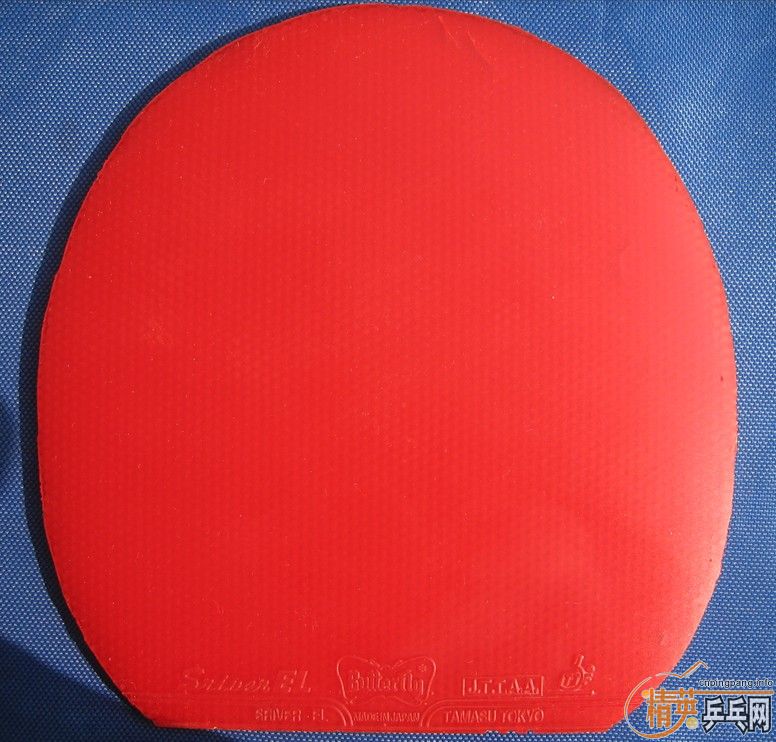 �Żݳ������׽�