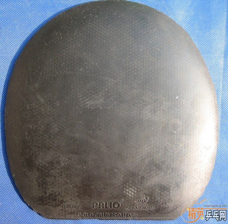 �Żݳ������׽�