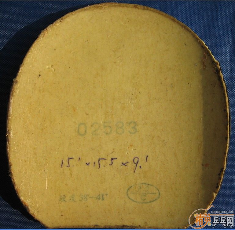 �Żݳ������׽�