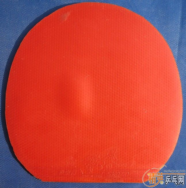 �Żݳ������׽�