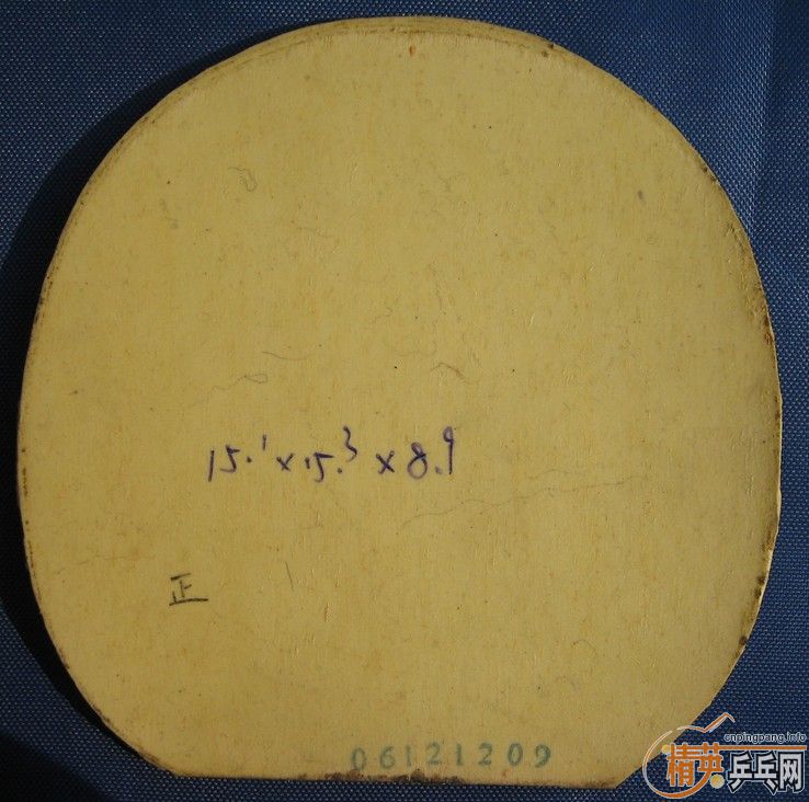 �Żݳ������׽�